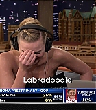 568.jpg