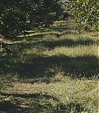 LMR-DL537.jpg
