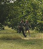 LMR-DL566.jpg
