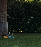 Filename=LMR-OUATIH548.jpg
Filesize=223KiB
Dimensions=1920x800
Date added=Dec 27, 2019 LMR-OUATIH548.jpg