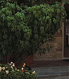 Filename=LMR-OUATIH585.jpg
Filesize=175KiB
Dimensions=1920x800
Date added=Dec 27, 2019 LMR-OUATIH585.jpg