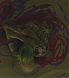 MER-SS567.jpg