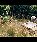 033.jpg