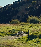 1240.jpg