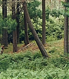 2129.jpg