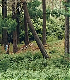 2130.jpg