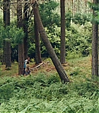 2132.jpg
