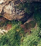 2307.jpg