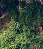 2310.jpg