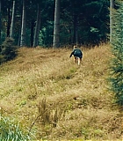 2689.jpg