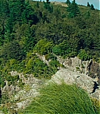 2697.jpg