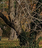 253.jpg