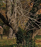 254.jpg